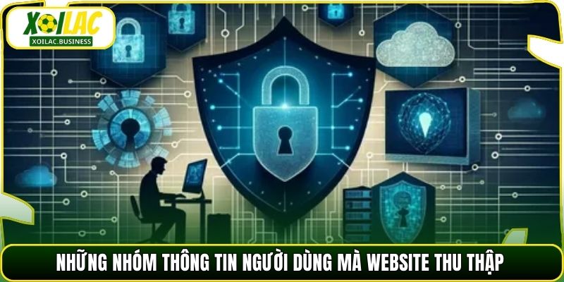 Những nhóm thông tin người dùng mà website thu thập