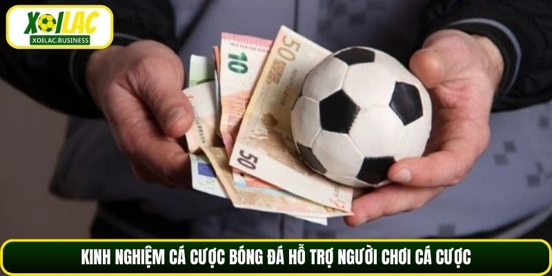 Kinh nghiệm cá cược bóng đá hỗ trợ người chơi cá cược